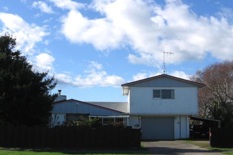 Photo of property in 94 Mako Mako Road, Levin, 5510
