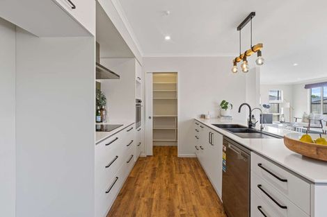 Photo of property in 5 Chertsey Street, Richmond, 7020