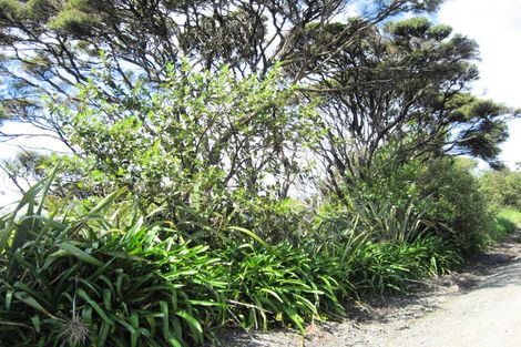 Photo of property in 5-7 Log Race Road, Piha, 0772