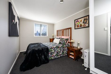 Photo of property in 101a Limbrick Street, Terrace End, Palmerston North, 4410