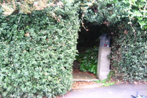 Photo of property in 48 College Street, Caversham, Dunedin, 9012