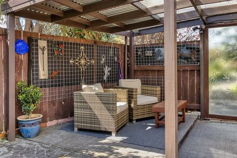 Photo of property in 23 Tanner Street, Havelock North, 4130