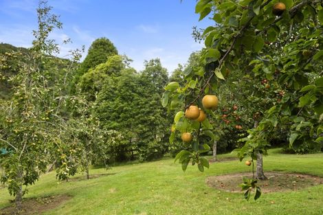 Photo of property in 194 Skyhigh Road, Hunua, Papakura, 2583