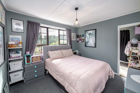 Photo of property in 272 Papawai Road, Papawai, Greytown, 5794