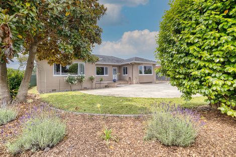 Photo of property in 320 Racecourse Road, Te Awamutu, 3800