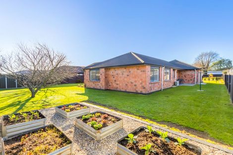 Photo of property in 3 Birchwood Lane, Matamata, 3400