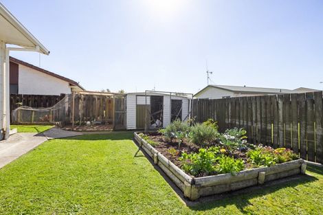 Photo of property in 58 Aurora Terrace, Hillcrest, Hamilton, 3216