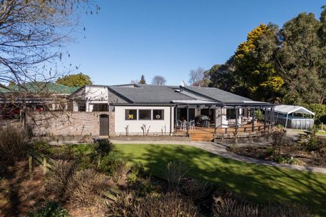 Photo of property in 20 Norrie Street, Te Puke, 3119