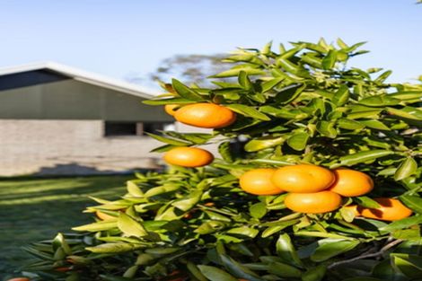 Photo of property in 6 Denz Street, Maeroa, Hamilton, 3200