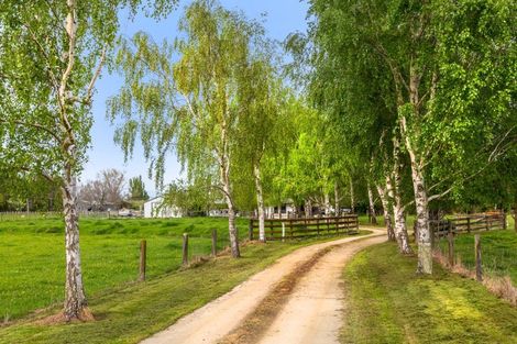 Photo of property in 252 East Taratahi Road, East Taratahi, Masterton, 5887