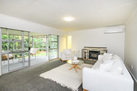 Photo of property in 30 Mokau Place, Terrace End, Palmerston North, 4410