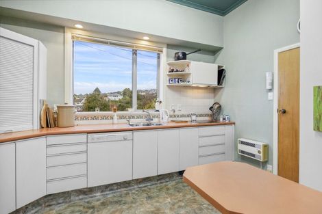 Photo of property in 19 Tweed Street, Roslyn, Dunedin, 9010