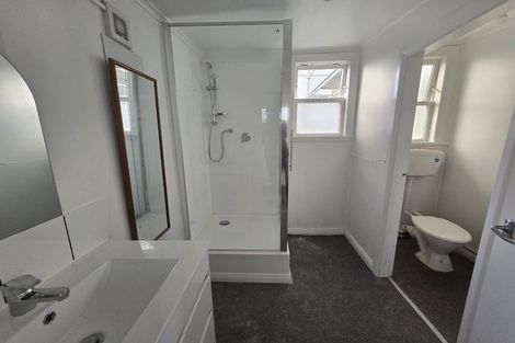 Photo of property in 101 Daniell Street, Newtown, Wellington, 6021