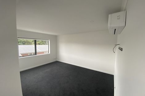 Photo of property in 13u1 Manning Street, Hamilton Central, Hamilton, 3204