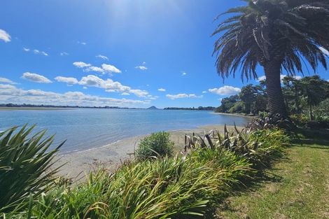 Photo of property in 390 Maungatapu Road, Maungatapu, Tauranga, 3112