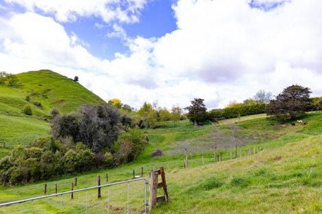 Photo of property in 447 Parklands Road, Rotoorangi, Te Awamutu, 3879