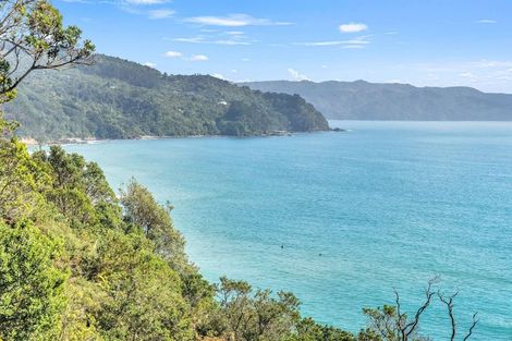 Photo of property in 55 Motuhoa Road, Tairua, 3508