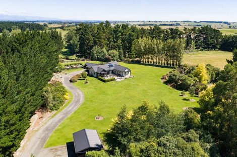Photo of property in 155b Halcombe Road, Feilding, 4775