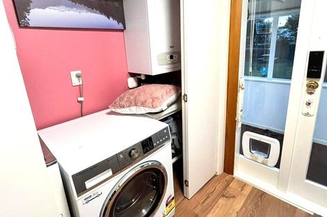 Photo of property in 20 Ihle Street, Terrace End, Palmerston North, 4410