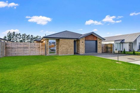 Photo of property in 37 Greig Crescent, Amberley, 7410
