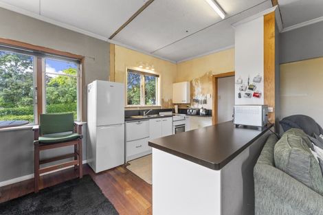 Photo of property in 17 Argyle Avenue, Levin, 5510