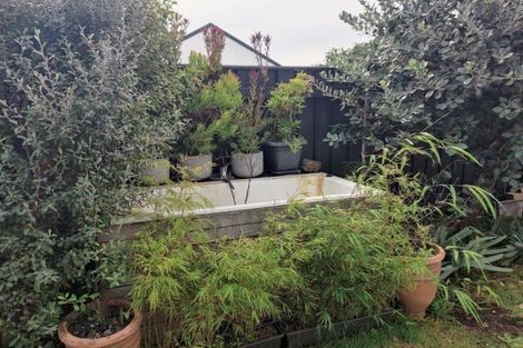 Photo of property in 17 Kedah Street, Miramar, Wellington, 6022