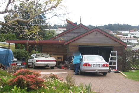 Photo of property in 105 Franklyn Street, Thames, 3500