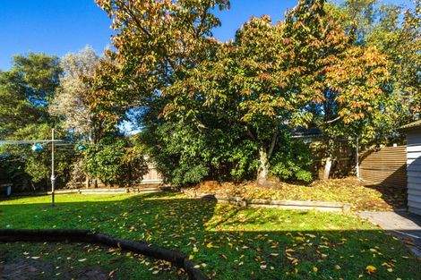 Photo of property in 3 Paton Road, Richmond, 7020