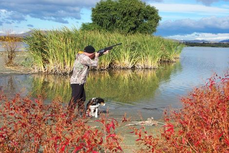 Photo of property in 11 Jensen Drive, Waipukurau, 4282