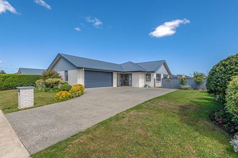 Photo of property in 19 Accolade Street, Feilding, 4702