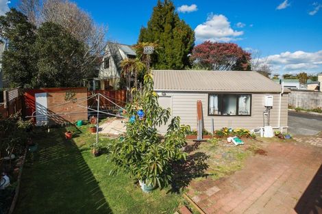 Photo of property in 110 Macfarlane Street, Hamilton East, Hamilton, 3216