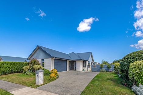 Photo of property in 19 Accolade Street, Feilding, 4702