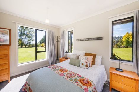 Photo of property in 155b Halcombe Road, Feilding, 4775