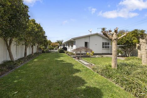 Photo of property in 14d Chilman Street, Strandon, New Plymouth, 4312