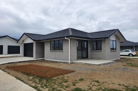 Photo of property in 69 Hinemoa Street, Levin, 5510