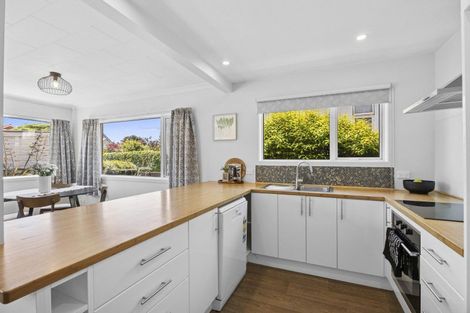 Photo of property in 66b Albert Street, Saint Clair, Dunedin, 9012