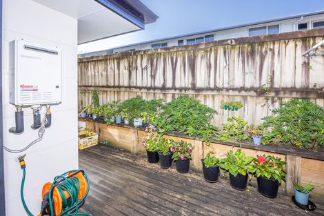 Photo of property in 287u4 Ulster Street, Whitiora, Hamilton, 3200