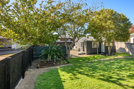 Photo of property in 101a Limbrick Street, Terrace End, Palmerston North, 4410