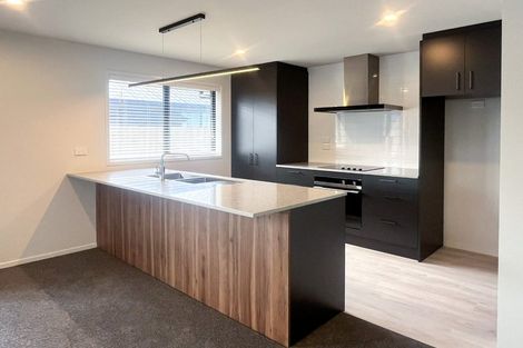 Photo of property in 17 Ellesmere Street, Marshland, Christchurch, 8083