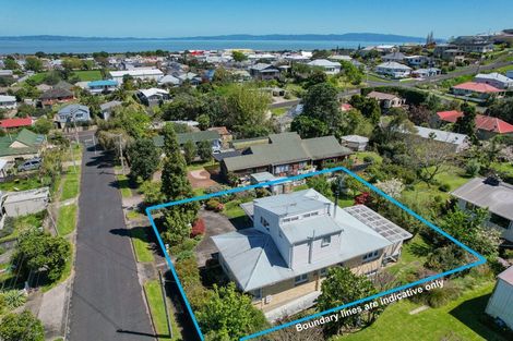 Photo of property in 107 Franklyn Street, Thames, 3500