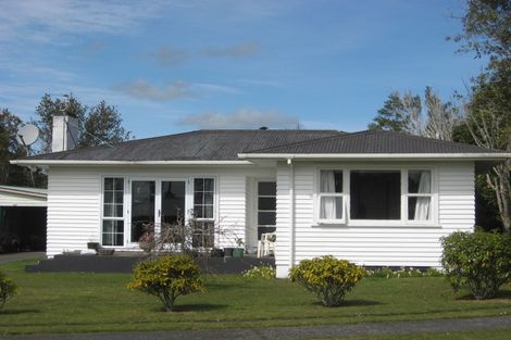 Photo of property in 25 Antonio Street, Stratford, 4332