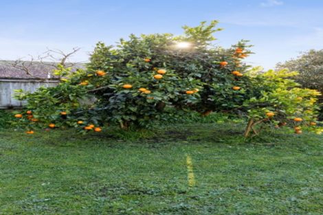 Photo of property in 6 Denz Street, Maeroa, Hamilton, 3200