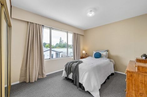 Photo of property in 41 Dillon Street, Blenheim, 7201