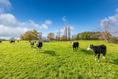 Photo of property in 25a Bedford Road, Te Kowhai, Hamilton, 3288