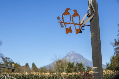 Photo of property in 56 Maire Street, Inglewood, 4330