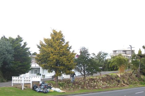 Photo of property in 79 Carrington Street, Lower Vogeltown, New Plymouth, 4310