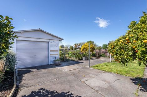 Photo of property in 32 Masters Crescent, Masterton, 5810