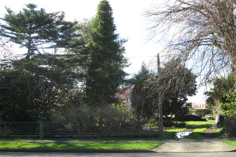 Photo of property in 69 Macarthur Street, Levin, 5510
