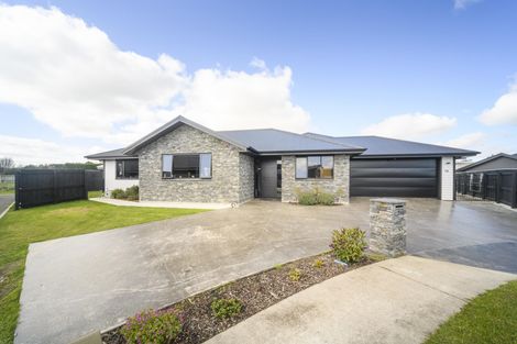 Photo of property in 14 Huffington Place, Feilding, 4702