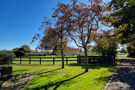 Photo of property in 161 Hautapu Road, Pukemoremore, Cambridge, 3493